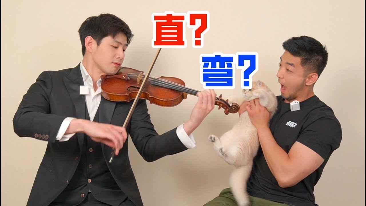 直男也很懂同性恋小提琴帅哥也想尝试后入？